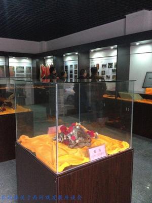 政协委员参观县文化展馆