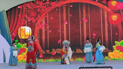 海会茶博会《打金枝》